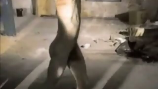 Extreme Retro Gay BDSM And Whipping