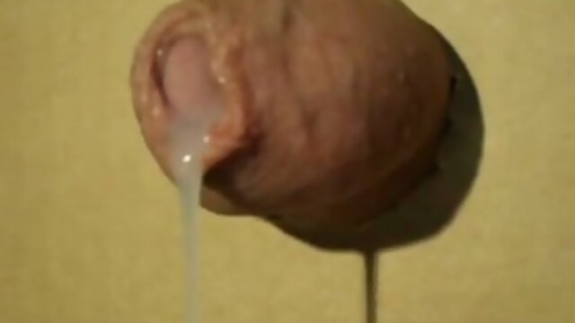 Vintage Foreskin Gloryholes