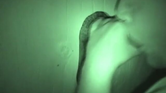 Public Rest Room Hidden Cam