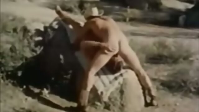 Retro And Gay Brokeback Bareback Mountain