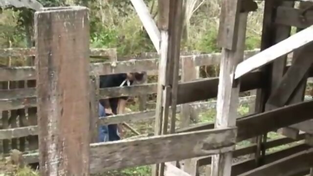 Latino Barebacking Barn Fuck