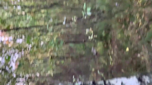 Lovely russian twink jacking off in a public forest and