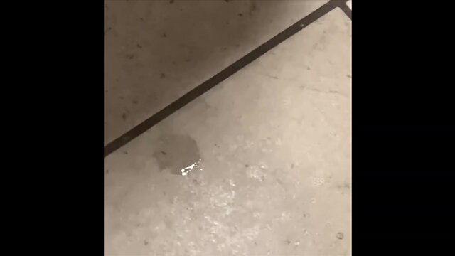 Watching guys stroke off in public bathroom stalls