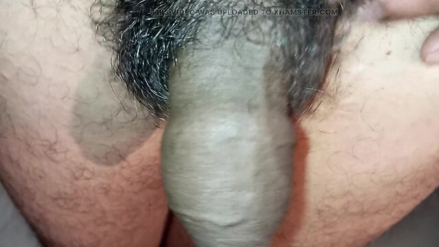 My beautiful rooster: a guide to proper care and