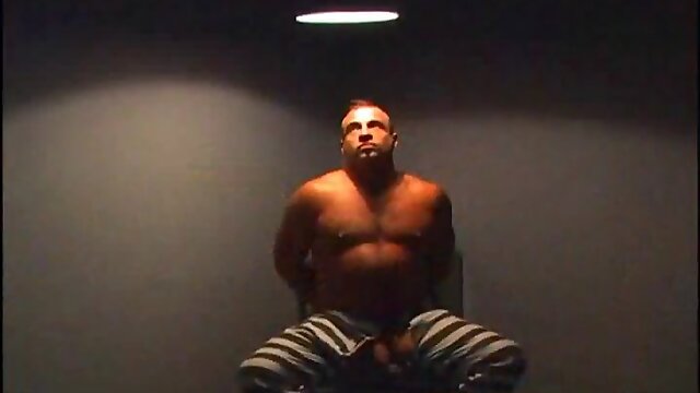 Bears fuck in jail cell